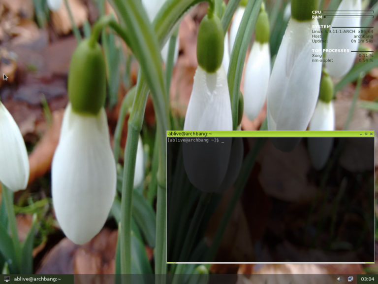 50+ Best Lightweight Linux Distros for 2023 – ThisHosting.Rocks