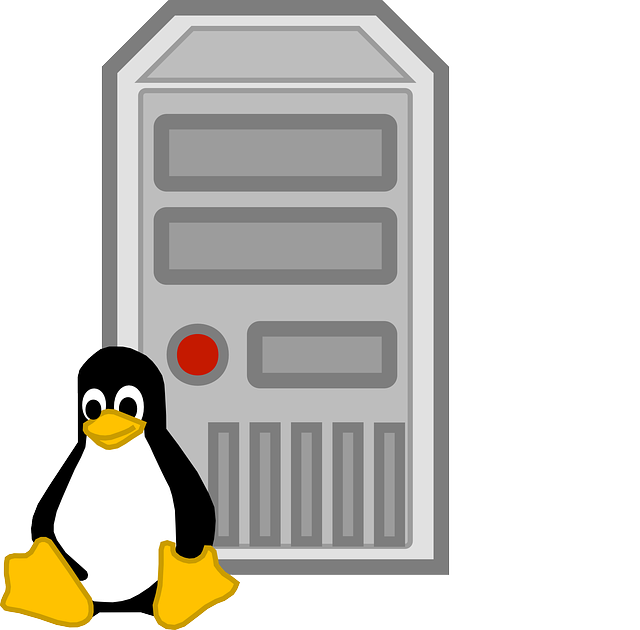 Linux Tux Server