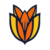 Bloom Host